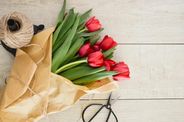 Røde tulipaner pakket i papir